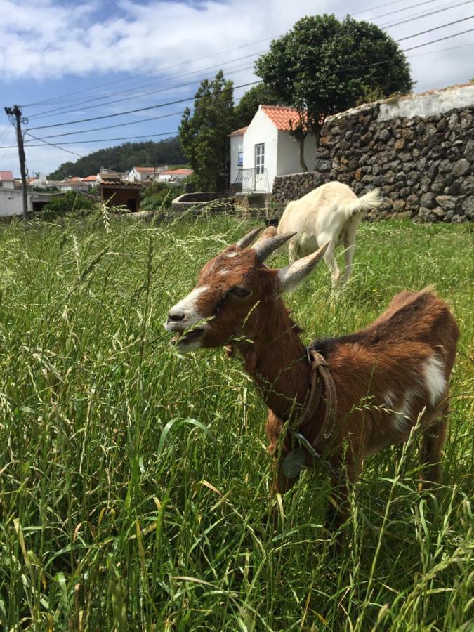 The Azores Homestead - Terceira Santa Barbara  외부 사진