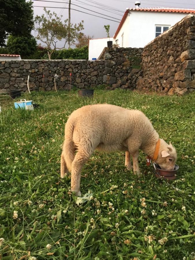 The Azores Homestead - Terceira Santa Barbara  외부 사진